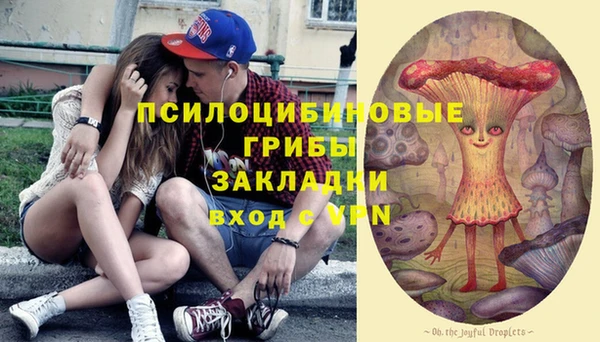 спайс Бородино