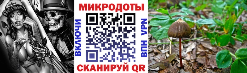 Псилоцибиновые грибы ЛСД  где купить наркотик  Оренбург 